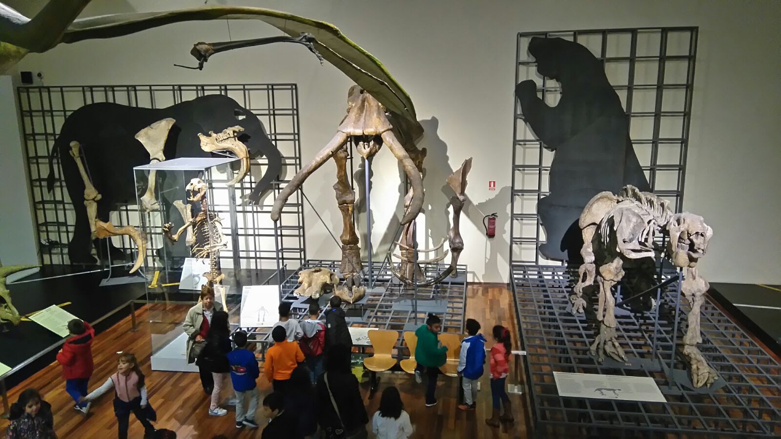 Primaria visita el MNCN