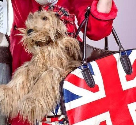 Teatro en inglés - Ghosts in love