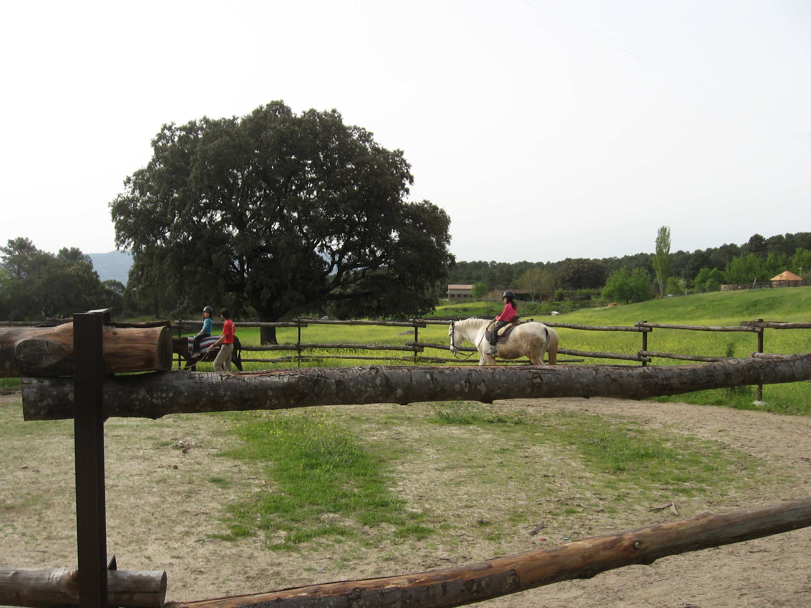 3º y 4º de Primaria ya están en Casavieja