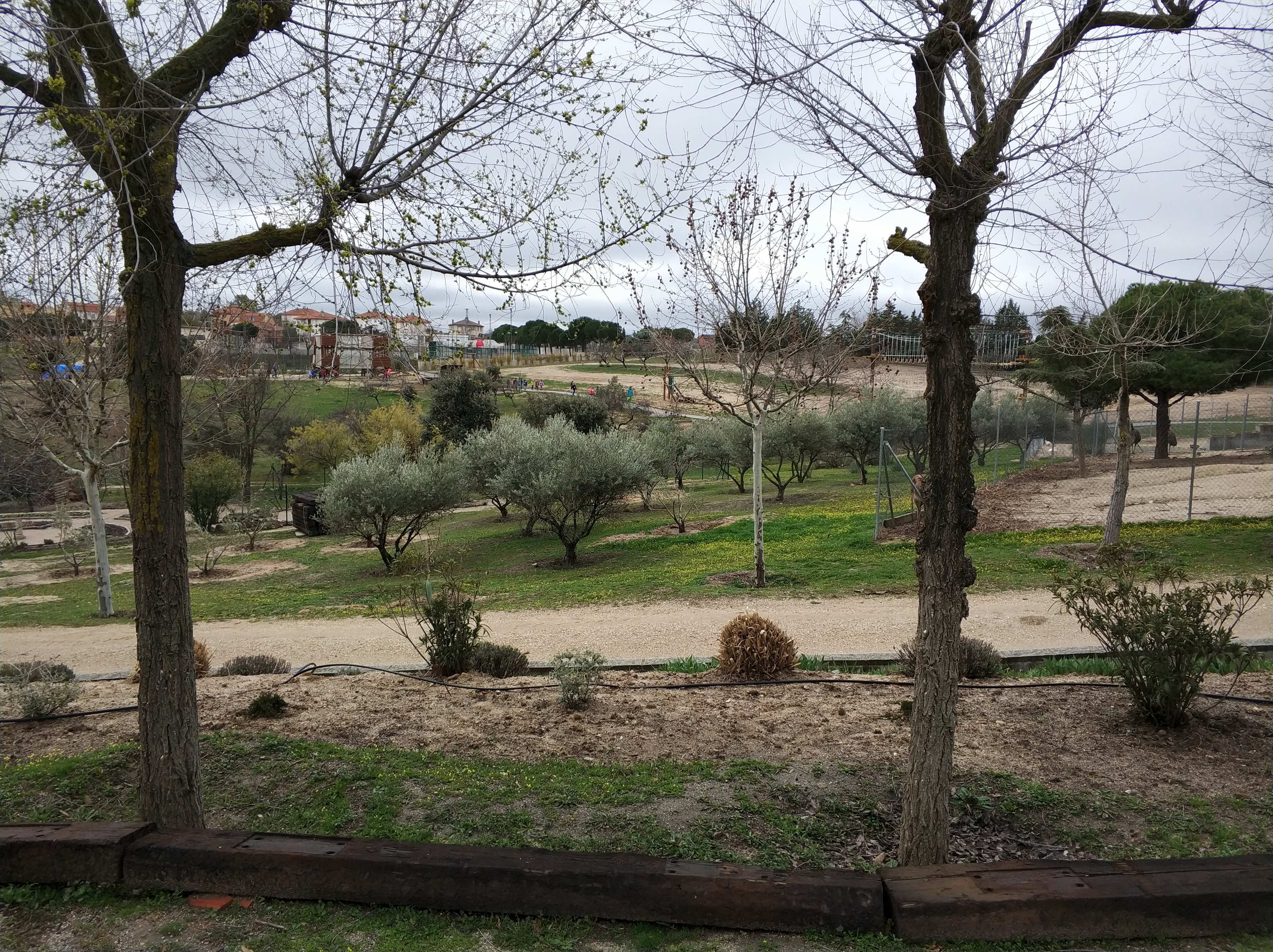 1ºde Educación Infantil