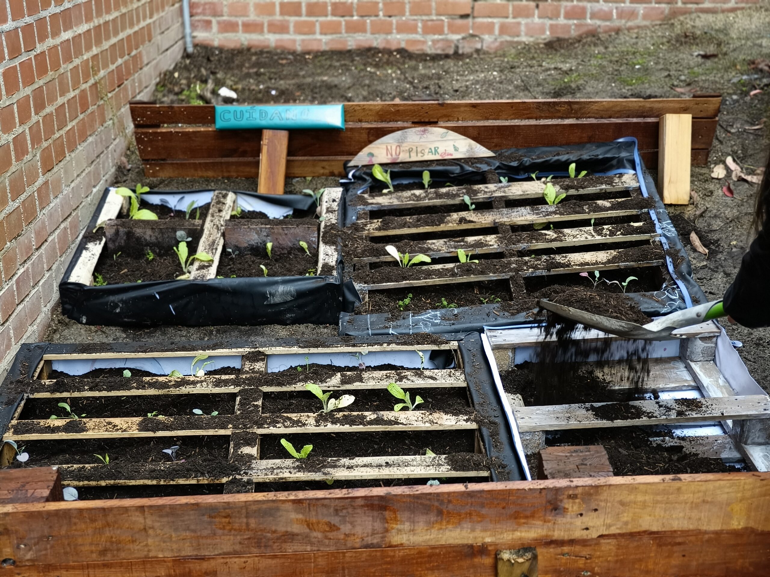 Jornadas Culturales Secundaria